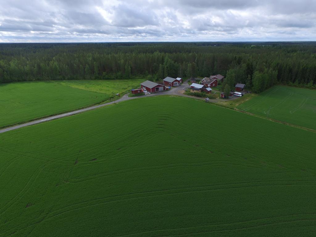 Maatilamatkailu Ilomaeki Seinäjoki Eksteriør bilde