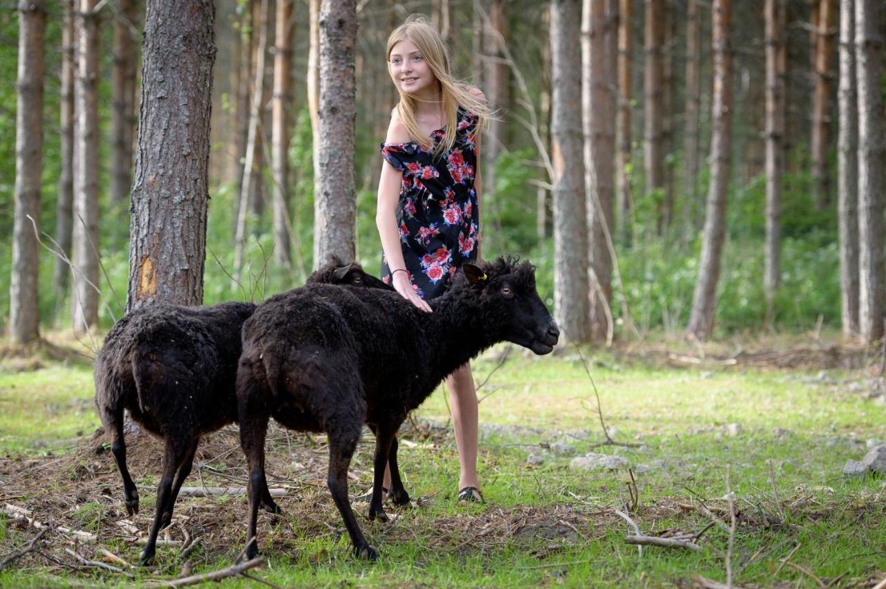 Maatilamatkailu Ilomaeki Seinäjoki Eksteriør bilde